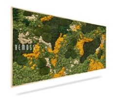 A rectangular wall art piece features an arrangement of preserved moss and greenery in various shades of green, yellow, and white. The product "Moss Art BEMOSS® ORTHO PINK" is displayed on the left side. The artwork is framed with a light wooden border.