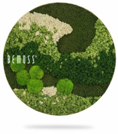 a picture of a green plant with the word bemuss in the center of it and a white background, environmental art, moss wall, moss wall decor, moss wall art, moss art, moss decor