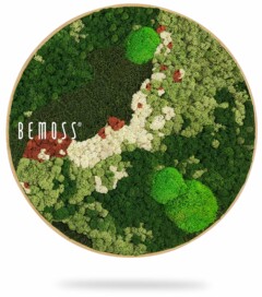 a picture of a green plant with the word bemos on it in white letters on a green background, environmental art, moss wall, moss wall decor, moss wall art, moss art, moss decor