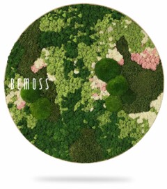 a picture of a moss covered plate with a bunny on it's face and the words moss on it's side, environmental art, moss wall, moss wall decor, moss wall art, moss art, moss decor
