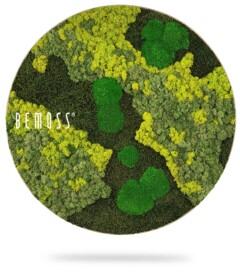 a round picture with a green plant on it that says, environmental art, moss wall, moss wall decor, moss wall art, moss art, moss decor