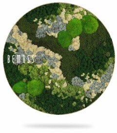 a picture of a green and white plant with the word bemuss on it in a circle shape, environmental art, moss wall, moss wall decor, moss wall art, moss art, moss decor