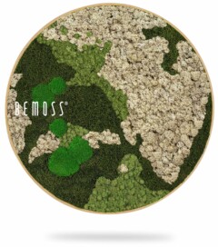 a picture of a green earth with leaves and moss on it that says, environmental art, moss wall, moss wall decor, moss wall art, moss art, moss decor