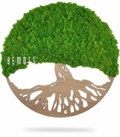a tree with a large root is shown in a circular shape with the words, environmental art, moss wall, moss wall decor, moss wall art, moss art, moss decor