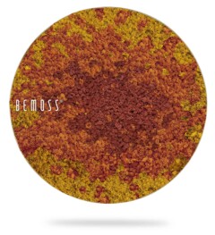 a round picture with the word bemos on it in white letters and a yellow and red background with a white circle with the word bemos on it, environmental art, moss wall, moss wall decor, moss wall art, moss art, moss decor