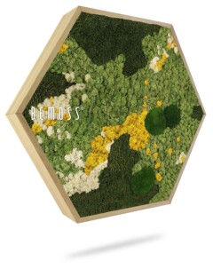 a picture of a green and yellow area with flowers and leaves on it, environmental art, moss wall, moss wall decor, moss wall art, moss art, moss decor
