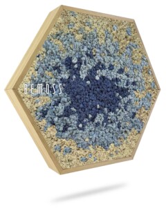 a blue and yellow substance is in a hexagonal container with a white background and a blue and yellow substance is in the middle of the image, environmental art, moss wall, moss wall decor, moss wall art, moss art, moss decor