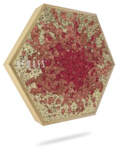 a red and gold glittered hexagonal object with a white background and a message across the top, environmental art, moss wall, moss wall decor, moss wall art, moss art, moss decor