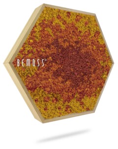 a picture of a red and yellow object with the word bemos on it's side and a white background, environmental art, moss wall, moss wall decor, moss wall art, moss art, moss decor