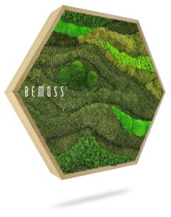a green box with moss growing inside of it and the words bemos on it in white lettering on the top of the box, environmental art, moss wall, moss wall decor, moss wall art, moss art, moss decor