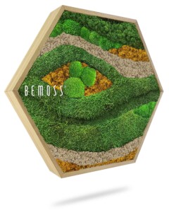 a picture of a green plant with the words bemos on it in a hexagonal frame with a white background, environmental art, moss wall, moss wall decor, moss wall art, moss art, moss decor