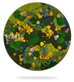 a picture of a flower garden with a white background and a white background with a white border and a green circle with yellow, environmental art, moss wall, moss wall decor, moss wall art, moss art, moss decor