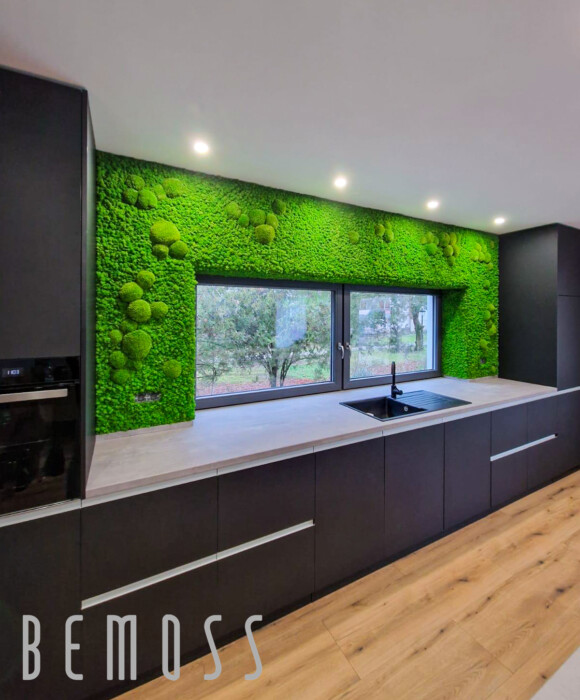Click to view project – Reindeer moss Wall