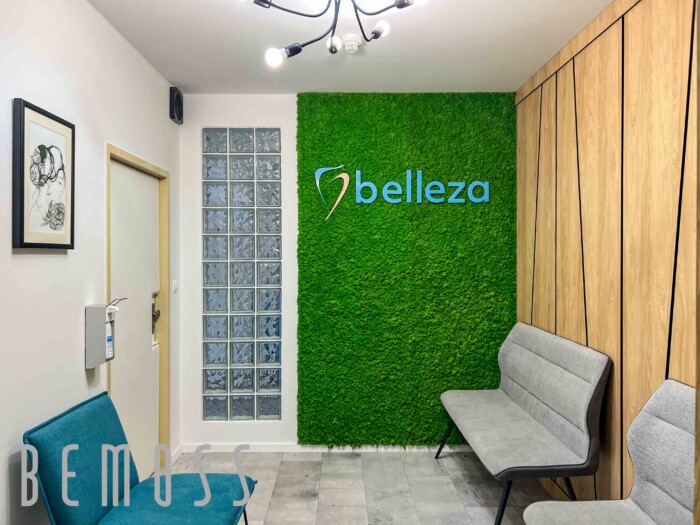Click to view project – Belleza