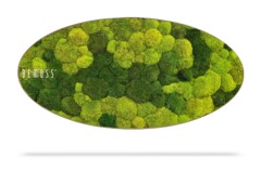 An oval-shaped art piece featuring an arrangement of various shades of green moss. The word "BEMOSS" is written in white text on the left side. The piece appears to be suspended with a shadow beneath it.