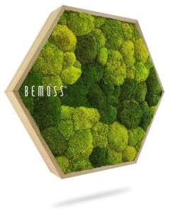 Hexagonal wooden frame filled with various shades of green moss clusters, creating a lush, textured wall art. The frame casts a slight shadow and is branded with the text "BEMOSS®" on the left side.