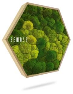 A hexagonal wall art piece filled with vibrant green moss. The frame is made of wood, and the object appears to be hanging against a white background. The word "BEMOSS" is visible on the upper left side of the moss surface.
