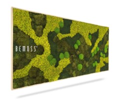 A rectangular piece of wall art featuring a natural green and yellow moss design is shown. The artwork has an abstract pattern with varying shades of green and yellow, and it prominently displays the word "Moss Art BEMOSS® ORTHO SWIRL" on the left side.