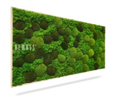 A rectangular wall art piece from BEMOSS features a textured green moss design with various shades and patterns, creating a three-dimensional natural look. The frame is light-colored, contrasting with the rich greenery. The Moss Art BEMOSS® ORTHO MONETO logo is visible on the left side.