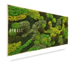 A rectangular wall art piece featuring a variety of preserved moss in different shades of green and textures, creating a lush, natural mosaic. The word “Moss Art BEMOSS® ORTHO TELDE” is written in white text on the left side. The art is bordered by a light wooden frame.