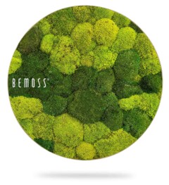 A round, framed display showcases an arrangement of bright green moss clusters in varying shades and textures. The word "BEMOSS®" is prominently displayed in white letters on the left side of the frame. The image has a clean, minimalistic background.