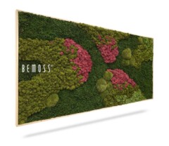 A framed vertical garden by BEMOSS featuring various types of green moss and patches of pink moss arranged artistically. The frame is wooden, and the moss is textured, creating a lush, vibrant appearance. The Moss Art BEMOSS® ORTHO SPRING (Copy) logo is printed on the moss.