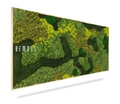 A rectangular wall art piece by Moss Art BEMOSS® ORTHO MEDIUM featuring a textured, vibrant mix of preserved green mosses in various shades and patterns, giving a natural, forest-like appearance. The word "BEMOSS" is written on the left side of the artwork.